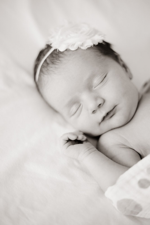 Wedding-and-Portrait-Photographer-Newborn-photos0090R0A6467-Blog(pp_w480_h720)