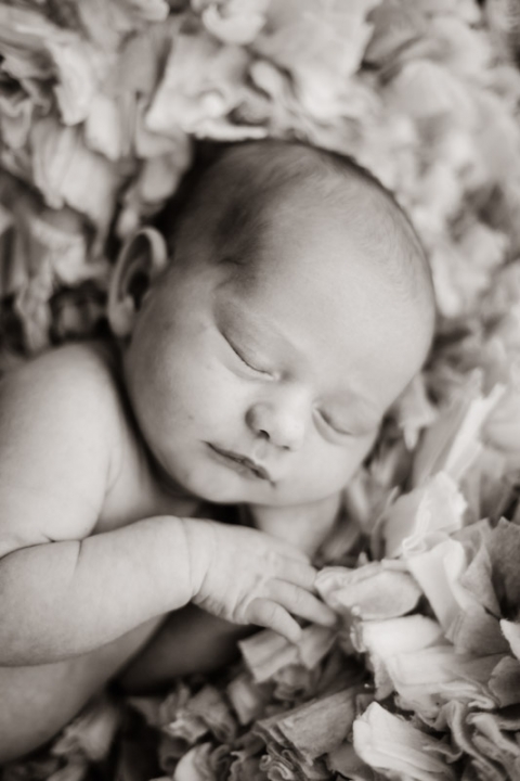 Wedding-and-Portrait-Photographer-Newborns0210R0A4644-Blog(pp_w480_h720)