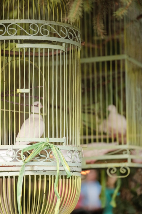 Wedding-and-Portrait-Photographer-Oqhirr-Temple-wedding-The-Bungalow-reception0330R0A3862-Blog(pp_w480_h720)