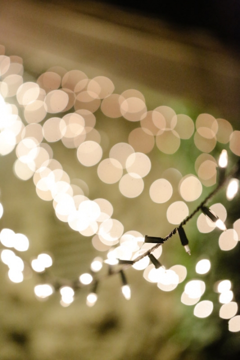 Wedding-and-Portrait-Photographer-Oqhirr-Temple-wedding-The-Bungalow-reception0540R0A4412-Blog(pp_w480_h720)