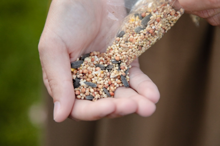 Wedding-Photographer-Fall-canyon-wedding066-Blog(pp_w768_h511)