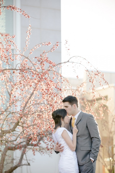 Wedding-Photographer-Timpanogos-Temple-wedding-photos016-Blog(pp_w480_h720)
