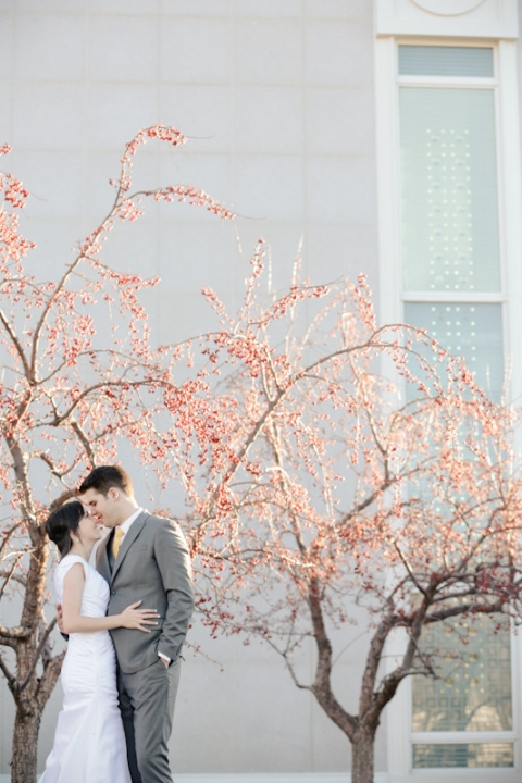 Wedding-Photographer-Timpanogos-Temple-wedding-photos018-Blog(pp_w480_h720)