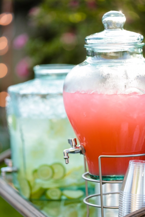 Wedding-and-Portrait-Photographer-SLC-temple-wedding0360R0A3155-Blog(pp_w480_h720)