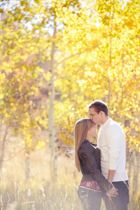 Wedding-and-Portrait-Photographer-Fall-Canyon-Engagements-UT0120R0A5622-Blog(pp_w480_h720)
