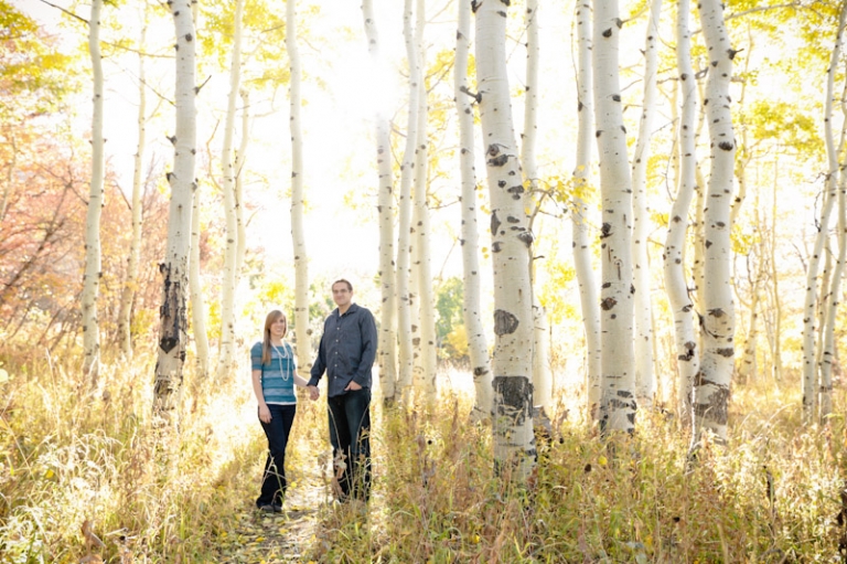 Wedding-and-Portrait-Photographer-Fall-Canyon-Engagements-UT0190R0A5356-Blog(pp_w768_h511)