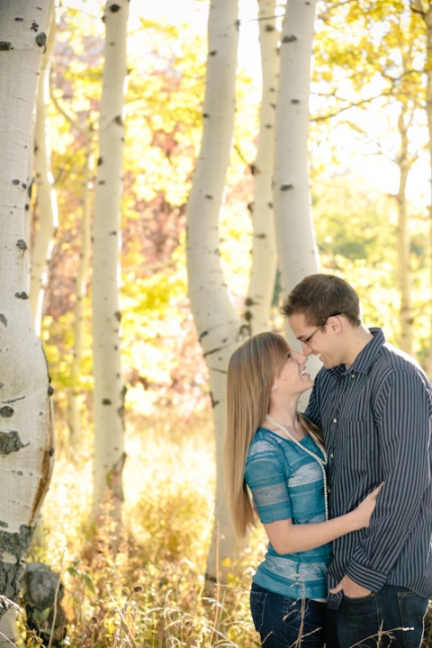 Wedding-and-Portrait-Photographer-Fall-Canyon-Engagements-UT0220R0A5259-Blog(pp_w480_h720)