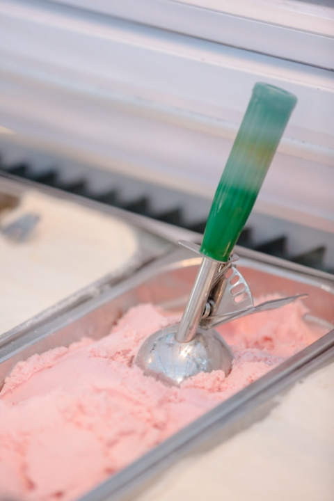 Wedding-and-Portrait-Photographer-Le-Jardin-Wedding0400R0A1920-Blog(pp_w480_h720)