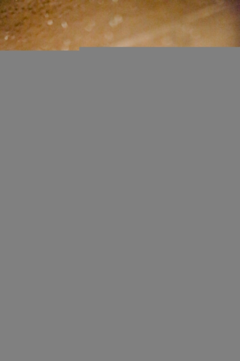 Wedding-Photographer-Timpanogos-Temple-Wedding022-Blog(pp_w480_h720)