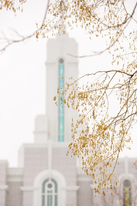 Wedding-Photographer-Winter-wedding-timpanogos-temple001-Blog(pp_w480_h720)