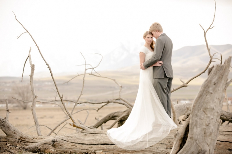 Wedding-Photographer-Bridals-cool-tree001-Blog(pp_w768_h511)