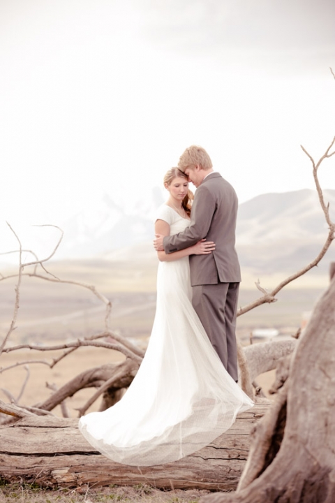 Wedding-Photographer-Bridals-cool-tree004-Blog(pp_w480_h720)