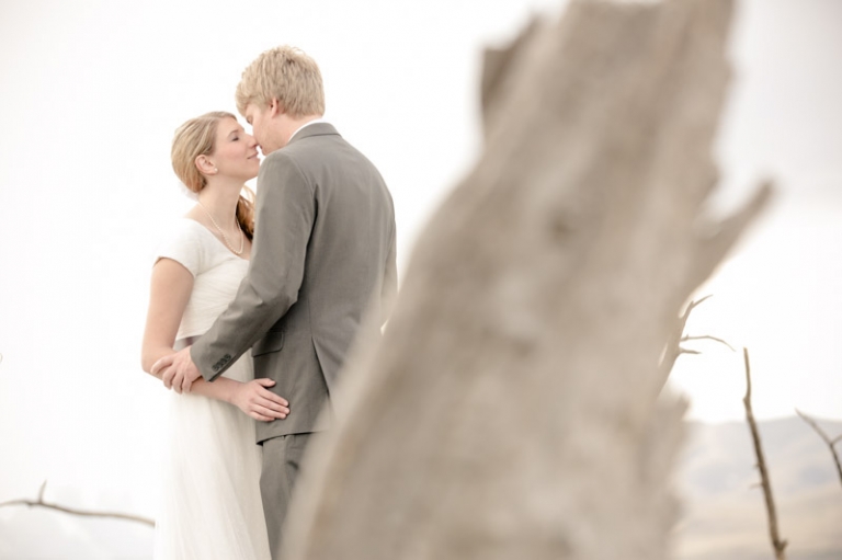 Wedding-Photographer-Bridals-cool-tree005-Blog(pp_w768_h511)