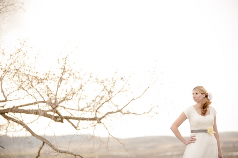 Wedding-Photographer-Bridals-cool-tree020-Blog(pp_w768_h511)