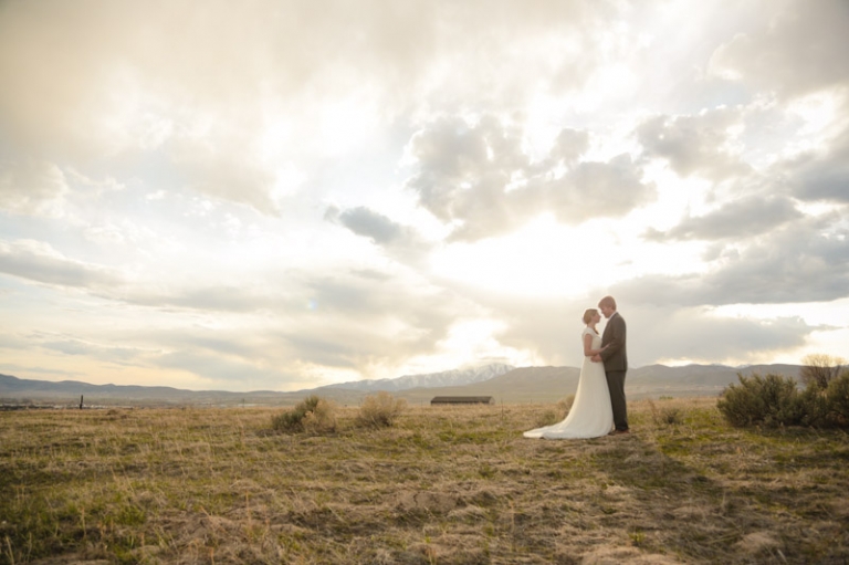 Wedding-Photographer-Bridals-cool-tree030-Blog(pp_w768_h511)
