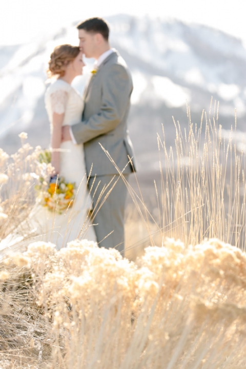 Wedding-Photographer-Bridals-mountain-brush016-Blog(pp_w480_h720)