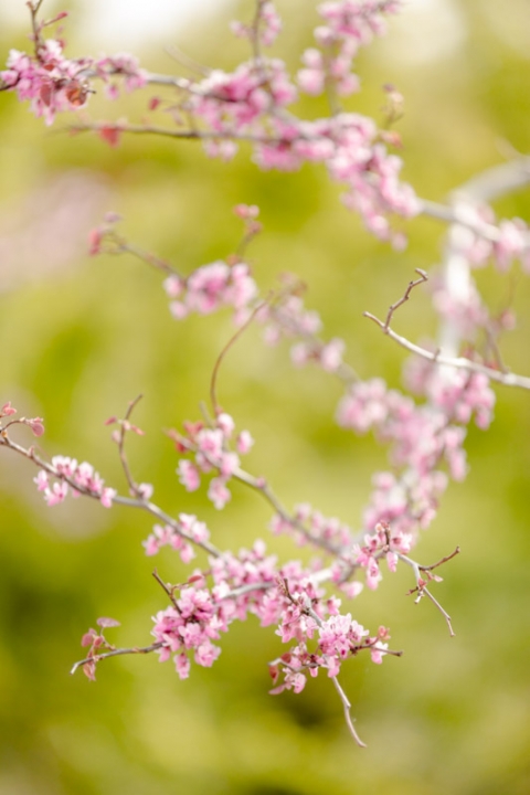 EK-Studios-Wedding-Photographer-Backyard-wedding-reception003-Blog(pp_w480_h720)