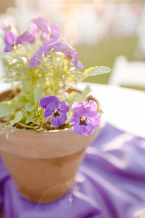 EK-Studios-Wedding-Photographer-Backyard-wedding-reception037-Blog(pp_w480_h720)