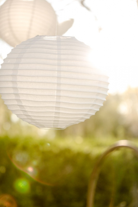 EK-Studios-Wedding-Photographer-Backyard-wedding-reception038-Blog(pp_w480_h720)