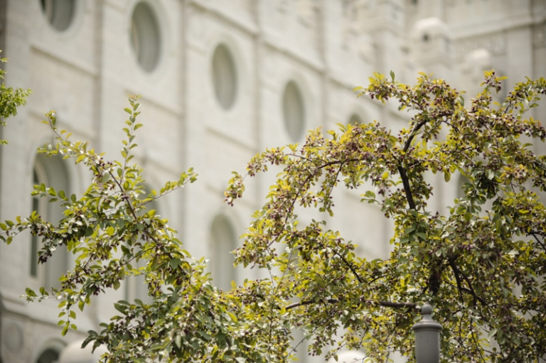 EK-Studios-Wedding-Photographer-Bella-Vista-Reception001-Blog(pp_w768_h511)