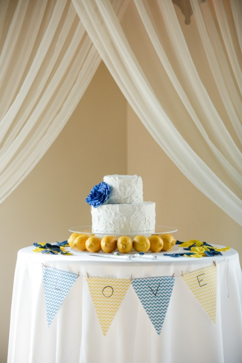 EK-Studios-Wedding-Photographer-Bella-Vista-Reception030-Blog(pp_w480_h720)