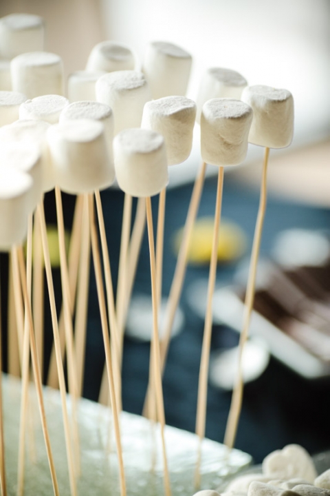 EK-Studios-Wedding-Photographer-Bella-Vista-Reception034-Blog(pp_w480_h720)