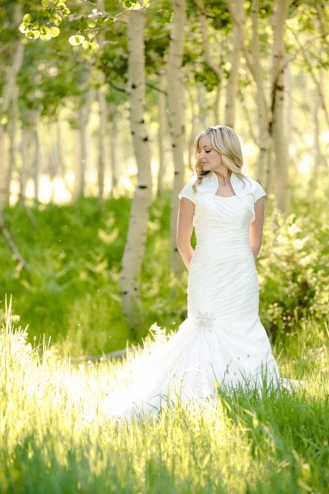 EK-Studios-Wedding-Photographer-Bridals-in-aspens024-Blog(pp_w480_h720)