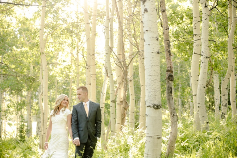 EK-Studios-Wedding-Photographer-Bridals-in-aspens030-Blog(pp_w768_h511)