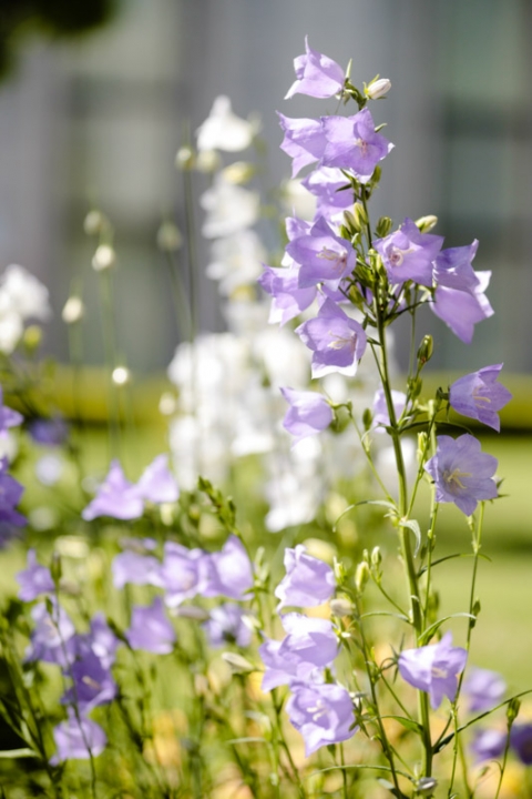 EK-Studios-Wedding-Photographer-KEY-WORDS002-Blog(pp_w480_h720)