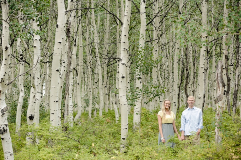EK-Studios-Wedding-Photographer-Mountain-Engagements015-Blog(pp_w768_h511)