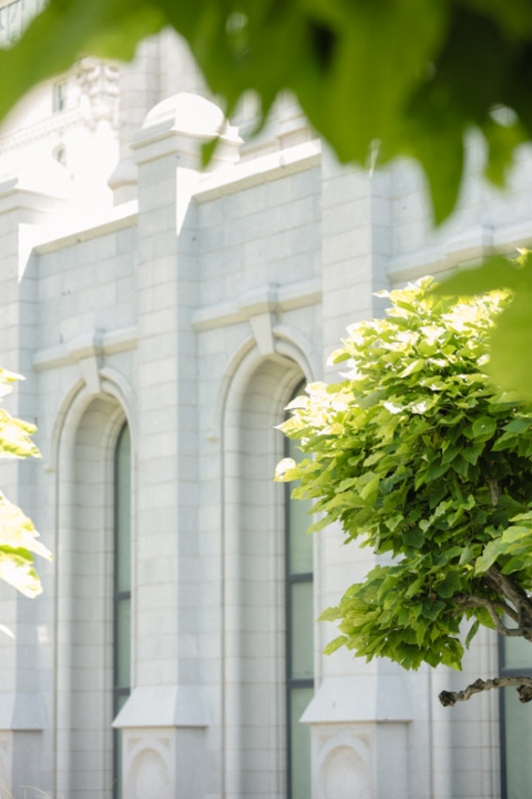EK-Studios-Wedding-Photographer-SLC-Temple001-Blog(pp_w480_h720)