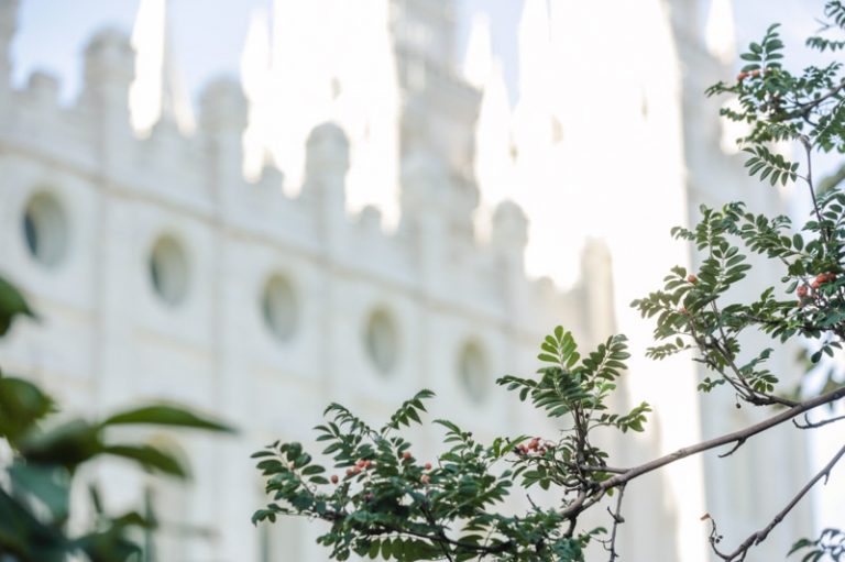 EK-Studios-Wedding-Photographer-SLC-wedding001-Blog(pp_w768_h511)