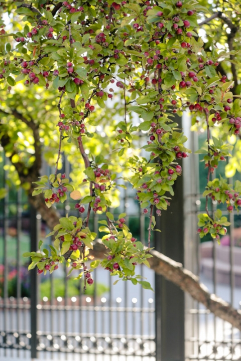 EK-Studios-Wedding-Photographer-SLC-wedding002-Blog(pp_w480_h720)