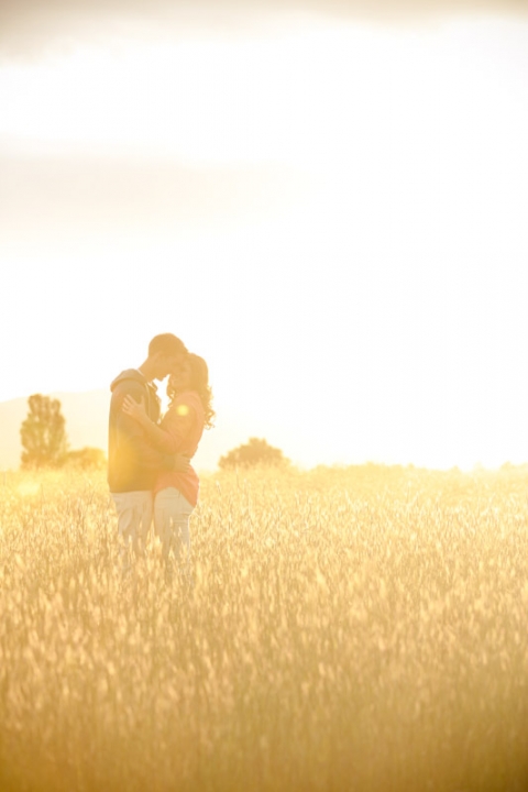 EK-Studios-Wedding-Photographer-Sunkissed-Wheat-field-Engagements038-Blog(pp_w480_h720)