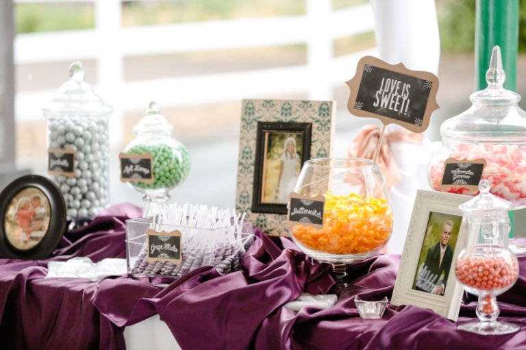 EK-Studios-Wedding-Photographer-The-McMullin-House-Reception038-Blog(pp_w768_h511)