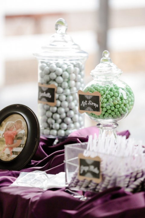 EK-Studios-Wedding-Photographer-The-McMullin-House-Reception039-Blog(pp_w480_h720)