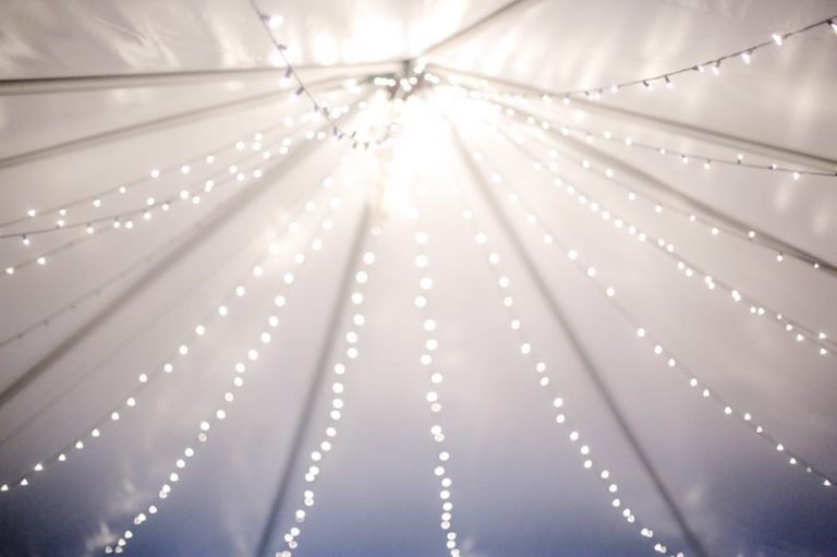 EK-Studios-Wedding-Photographer-The-McMullin-House-Reception061-Blog(pp_w768_h511)