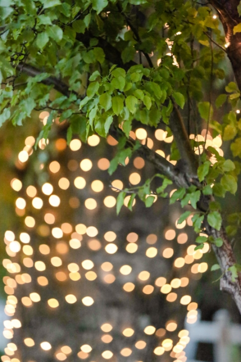 EK-Studios-Wedding-Photographer-The-McMullin-House-Reception066-Blog(pp_w480_h720)