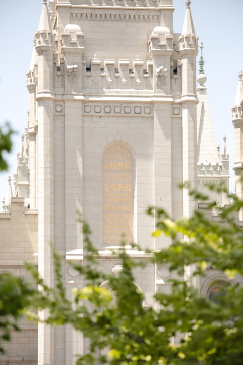 EK-Studios-Wedding-Photographer-The-canturbury-wedding-reception-001-Blog(pp_w480_h720)