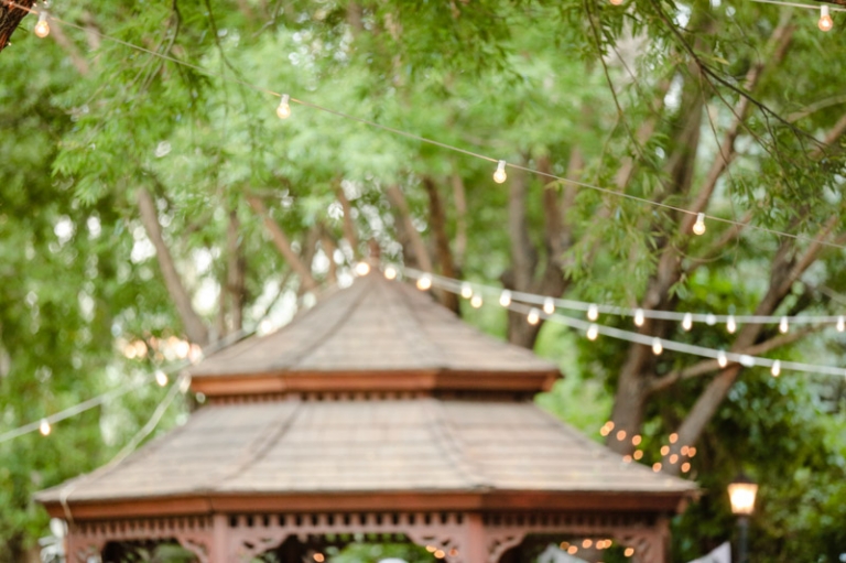 EK-Studios-Wedding-Photographer-Wedding-Erin-Joel042-Blog(pp_w768_h511)