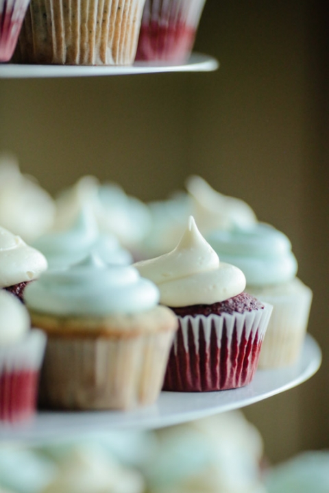 EK-Studios-Wedding-Photographer-Wedding-Reception-at-Sleepy-Ridge041-Blog(pp_w480_h720)