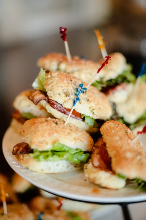 EK-Studios-Wedding-Photographer-Wedding-Reception-at-Sleepy-Ridge042-Blog(pp_w480_h720)