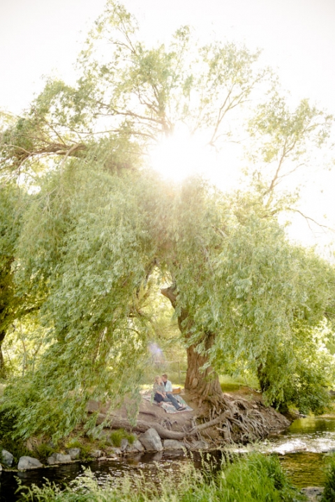 EK-Studios-Wedding-Photographer-picnic-under-a-willow-tree003-Blog(pp_w480_h720)