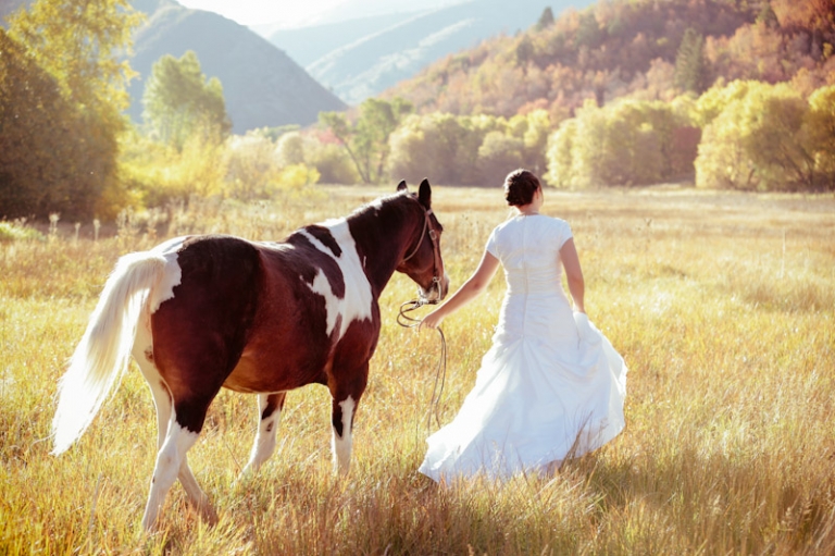 Wedding-and-Portrait-Photographer-Bridals-with-Horse001Brials-Mattie-0R0A0407-Final-Blog(pp_w768_h511)