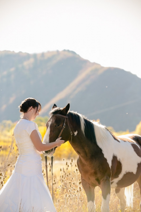 Wedding-and-Portrait-Photographer-Bridals-with-Horse008Brials-Mattie-0R0A0817-Final-Blog(pp_w480_h720)