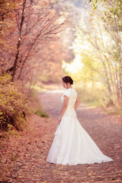 Wedding-and-Portrait-Photographer-Bridals-with-Horse023Brials-Mattie-0R0A1232-Final-Blog(pp_w480_h720)