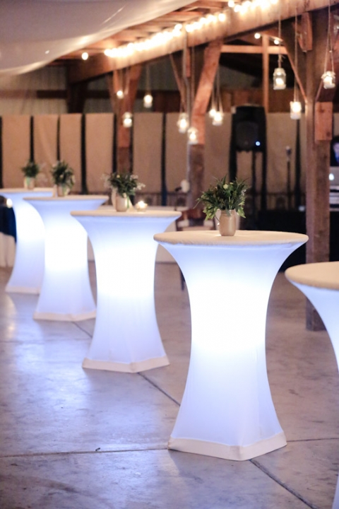 Wedding-Photographer-Barn-wedding-reception-winter054-Blog(pp_w480_h720)