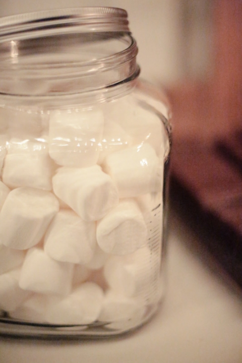 Wedding-Photographer-Barn-wedding-reception-winter061-Blog(pp_w480_h720)