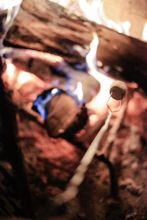 Wedding-Photographer-Barn-wedding-reception-winter062-Blog(pp_w480_h720)