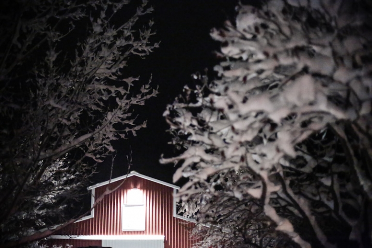 Wedding-Photographer-Barn-wedding-reception-winter092-Blog(pp_w768_h511)